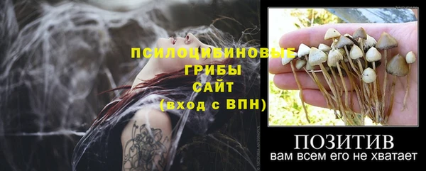 ешки Алексин